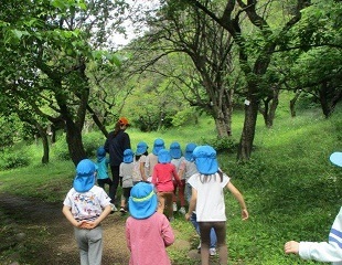 477398333